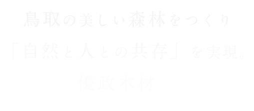 智頭の林業｜優政木材